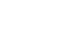 vmi-group-logo