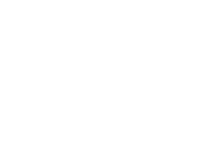 Pearl-Global-Ltd-logo